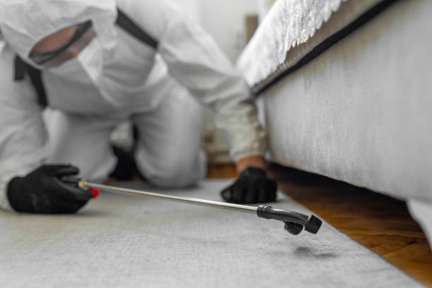 Professional Bed Bug Control technician working in Tontitown, AR