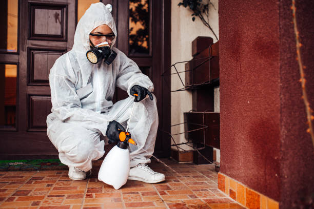Reliable Bed Bug Control contractor in Tontitown, AR by Nex Pest Control