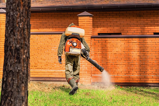 Trusted Emergency Pest Control service in Tontitown, AR - Nex Pest Control